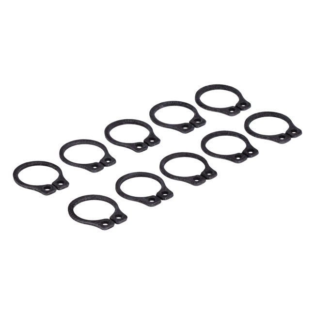 Retaining ring, shifter pawl