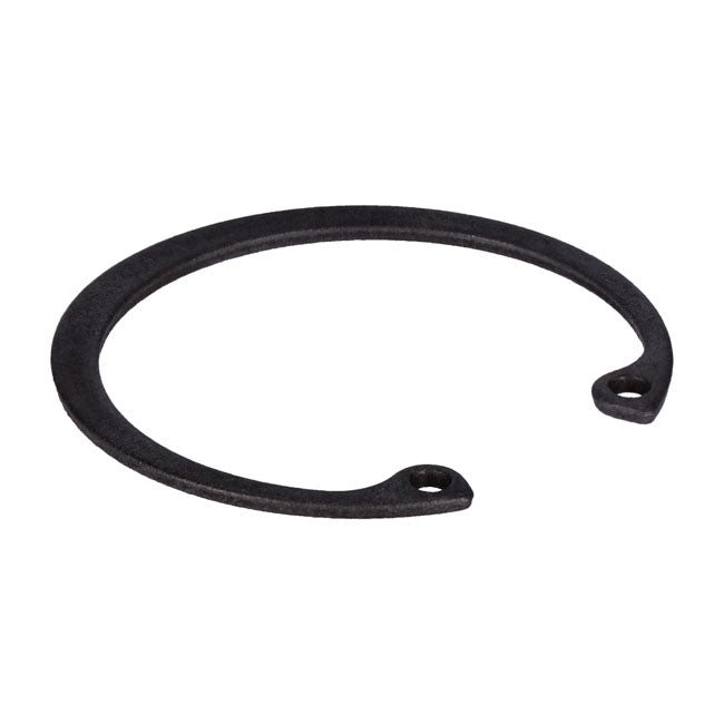 Retaining ring, generator bearing