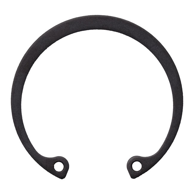Retaining ring, generator bearing