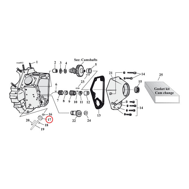 Import, oil pump driven gear. 24t