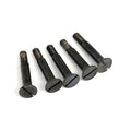 Pivot screw, starter gear lever