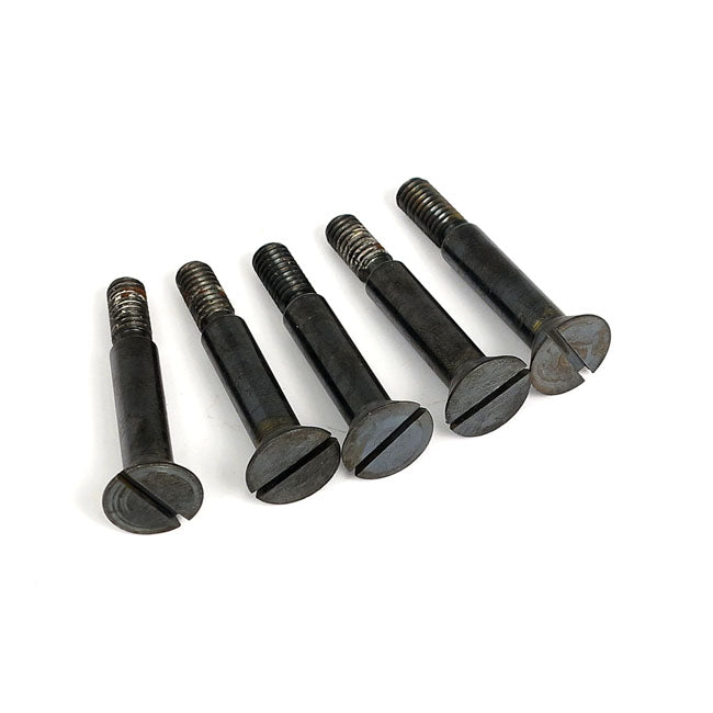 Pivot screw, starter gear lever
