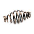 Barrel solo seat springs, 5" — 517868