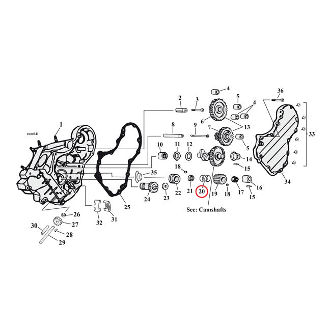 Spring, pinion seal ring