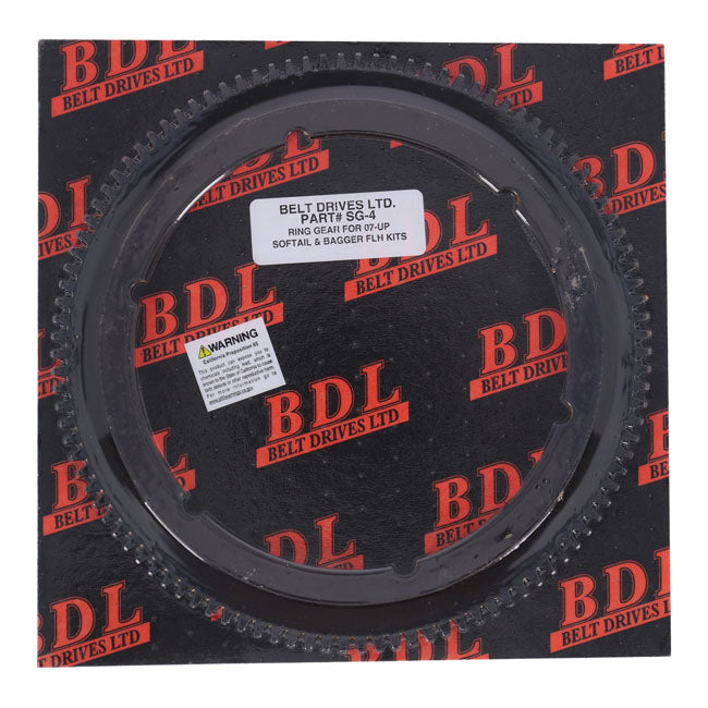 Bdl starter ring gear