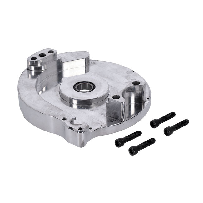 Bdl repl motor plate — 519082