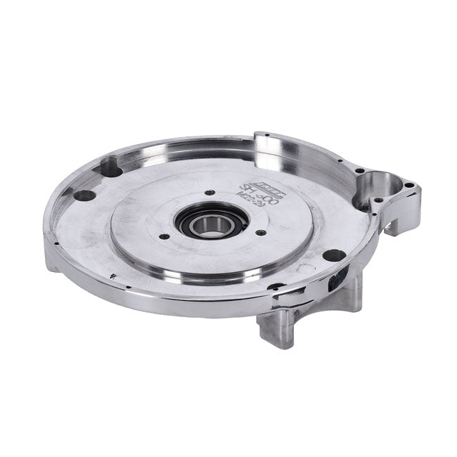 Bdl repl motor plate — 519082