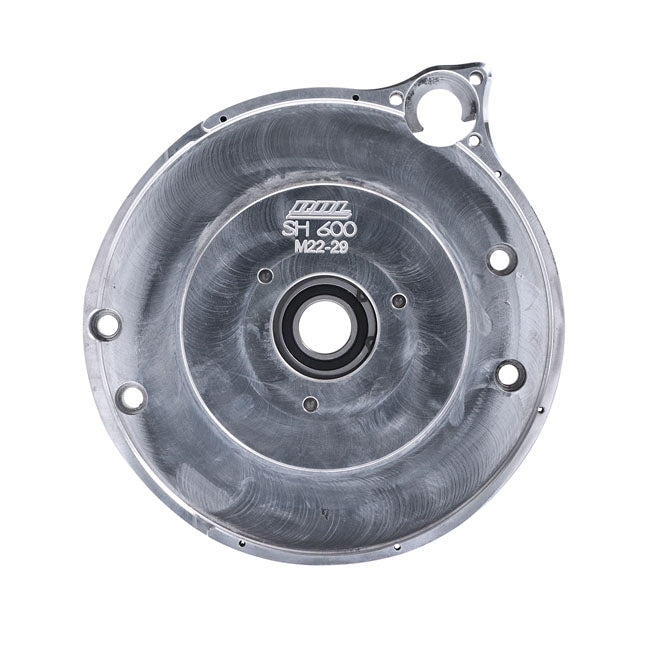 Bdl repl motor plate — 519082