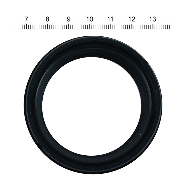 James, dust seal fork slider