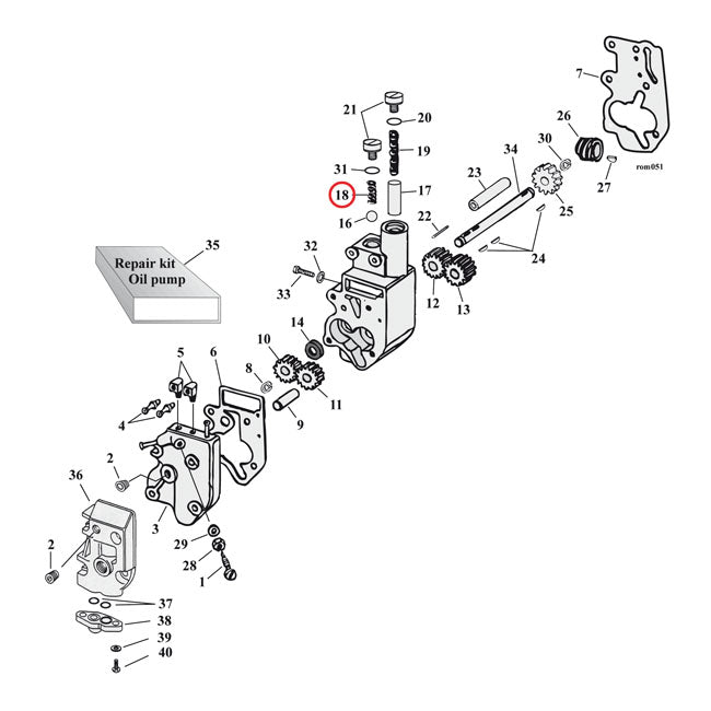 Spring, check valve