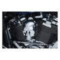 Kuryakyn, Skull horn cover. Chrome — 17-25 Big Twin with stock ''waterfall'' side mounted horn covers