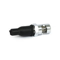 License plate light mount bolt. Plain. Chrome