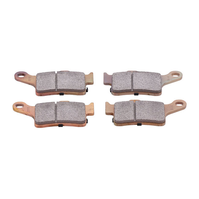 Brake pad set, rear — Rear: 19-24 all Trikes