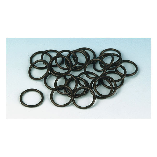 James, crankshaft position sensor/air control o-ring