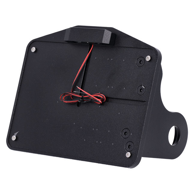 CPV, license plate bracket. Side mount, black