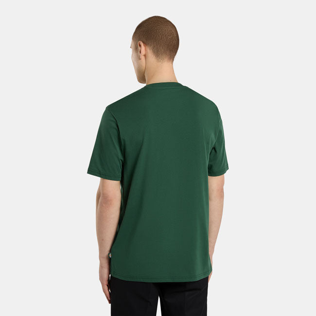 Dickies Ss Mapleton t-shirt pine needle green