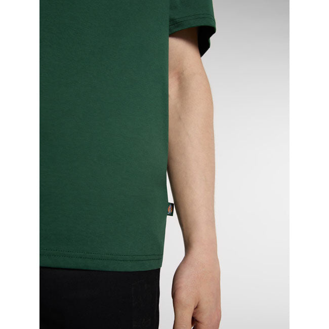 Dickies Ss Mapleton t-shirt pine needle green