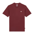 Dickies Mapleton t-shirt andorra