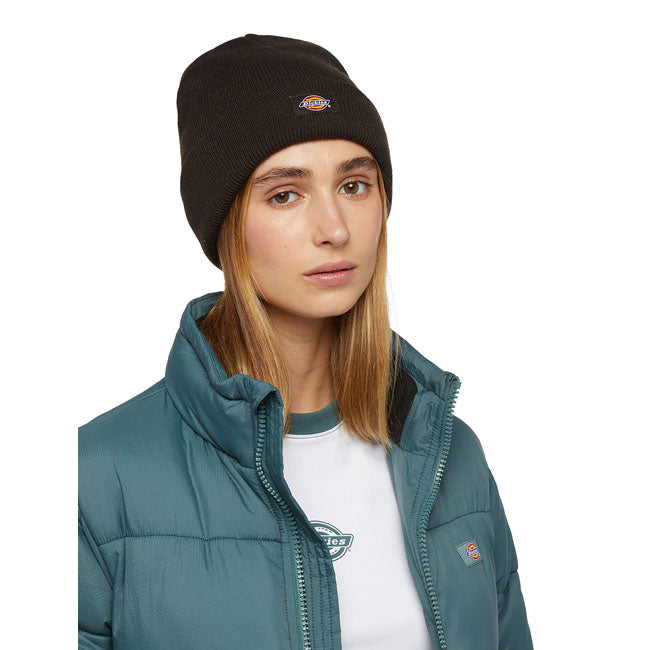 Dickies Gibsland beanie dark brown