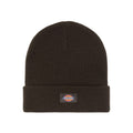 Dickies Gibsland beanie dark brown