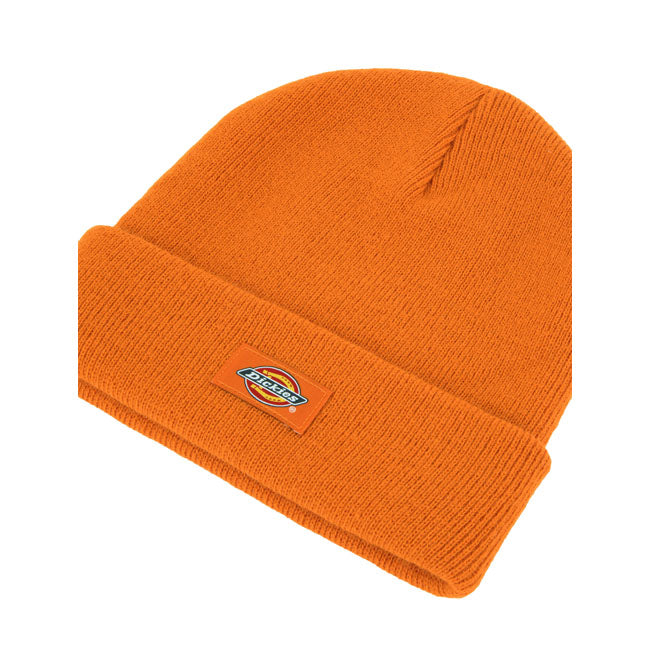 Dickies Gibsland beanie autumn maple
