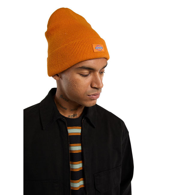 Dickies Gibsland beanie autumn maple