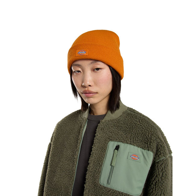 Dickies Gibsland beanie autumn maple