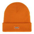Dickies Gibsland beanie autumn maple