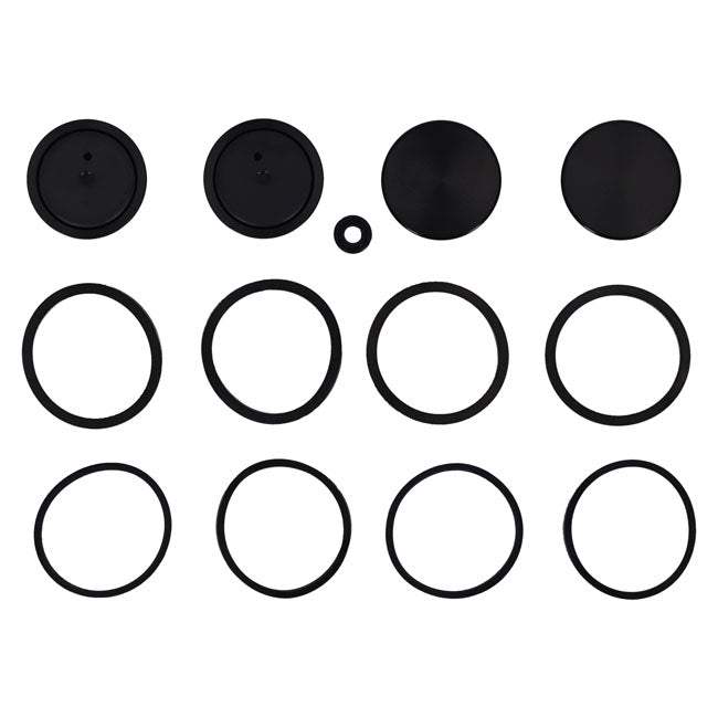 Caliper piston & seal kit — 08-25 FLT