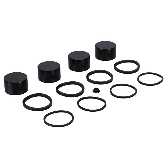 Caliper piston & seal kit — 08-25 FLT