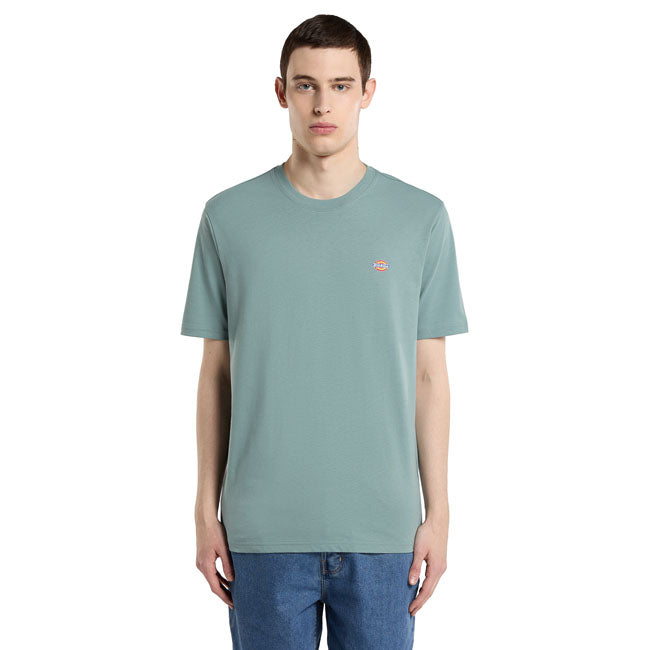 Dickies Mapleton t-shirt stormy sea