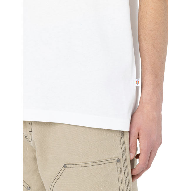 Dickies Summerdale t-shirt white