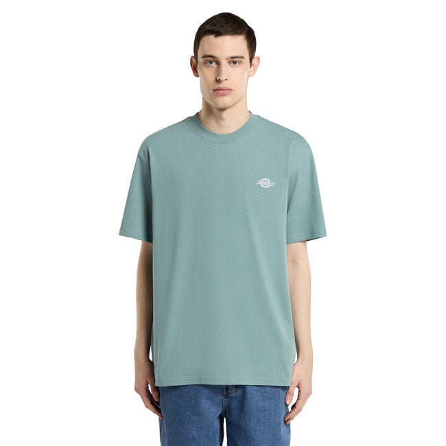 Dickies Summerdale t-shirt stormy sea