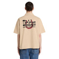 Dickies Vernal shirt wood ash