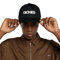 Dickies Torrey snapback cap black