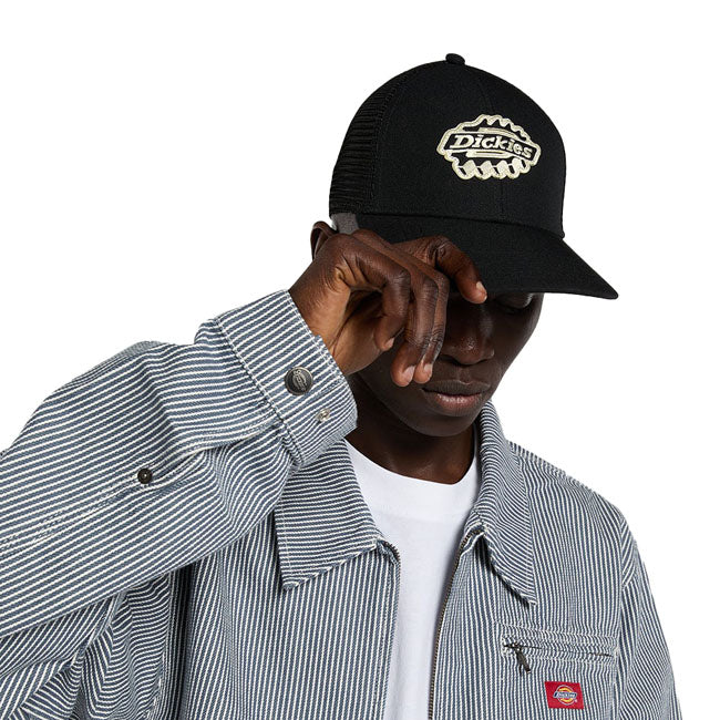 Dickies Irondale trucker cap black