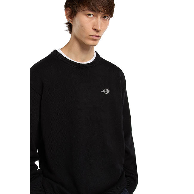 Dickies Summerdale sweater black