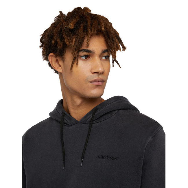 Dickies Plentywood hoodie black