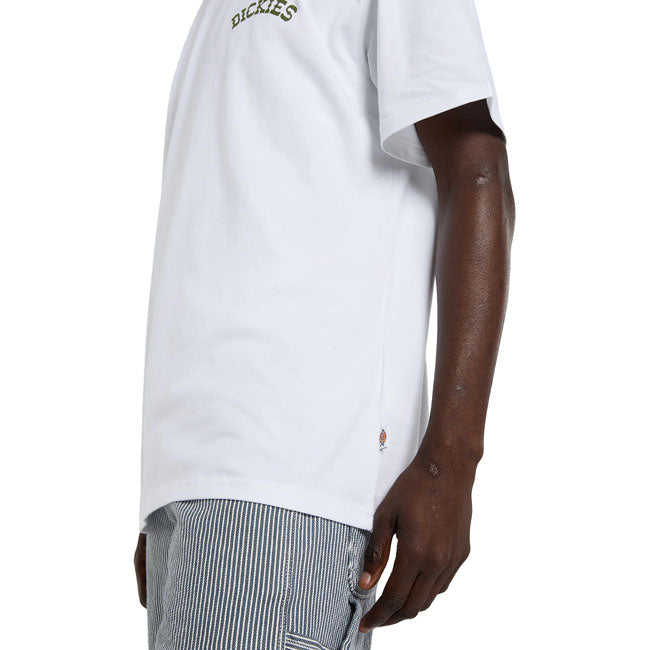 Dickies Bettsville t-shirt white
