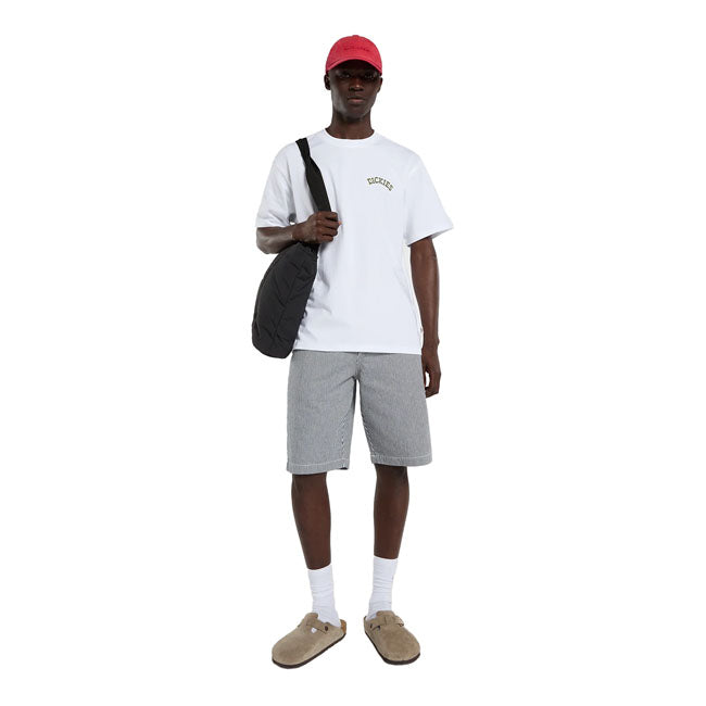 Dickies Bettsville t-shirt white