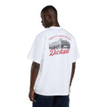 Dickies Wellsville t-shirt white