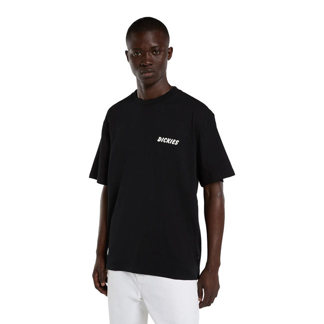 Dickies Dry Ridge t-shirt black