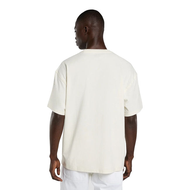 Dickies Irondale t-shirt egret