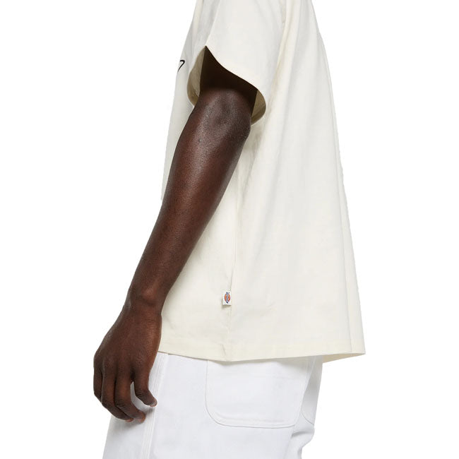 Dickies Irondale t-shirt egret