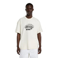 Dickies Irondale t-shirt egret