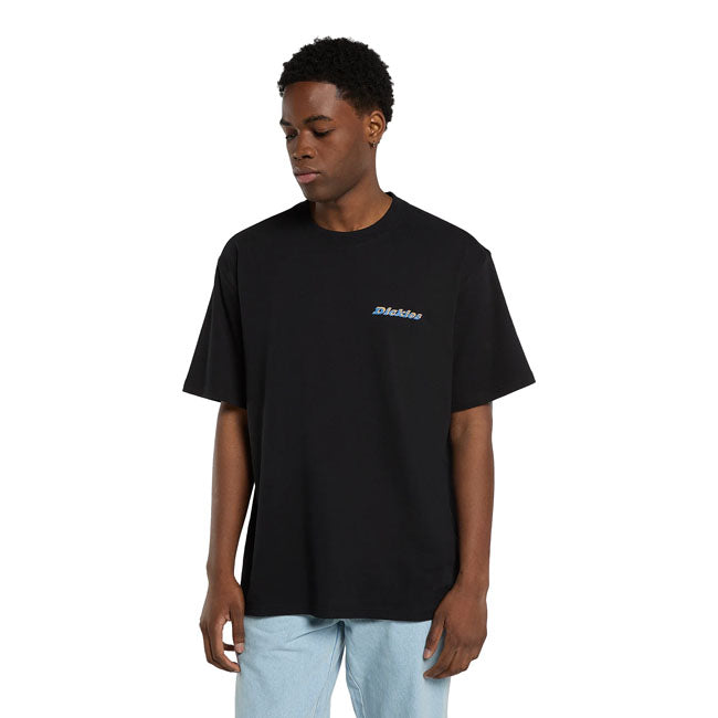 Dickies Thornville t-shirt black