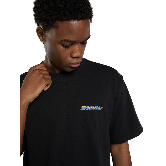Dickies Thornville t-shirt black