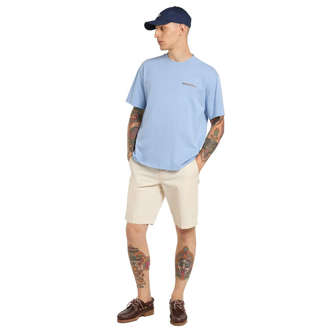 Dickies Thornville t-shirt endless sky
