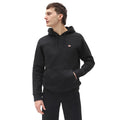 Dickies Oakport hoodie black