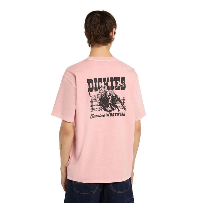 Dickies Buchtell t-shirt bridal rose